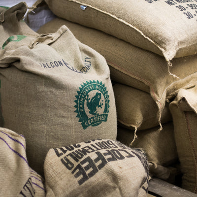 Chocolate and Coffee: Our Pairing Guide