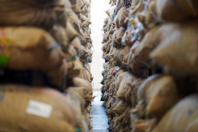 COCO's Journey Across Colombia | Bogotá