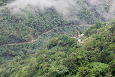 COCO's Journey Across Colombia | Medellín