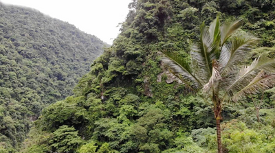COCO's Journey Across Colombia | Sweet as Panela
